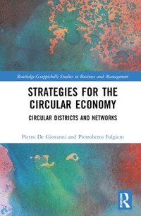 bokomslag Strategies for the Circular Economy