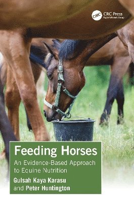 Feeding Horses 1