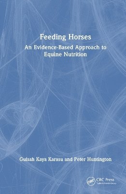 Feeding Horses 1