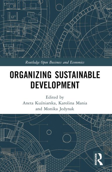 bokomslag Organizing Sustainable Development