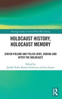 bokomslag Holocaust History, Holocaust Memory