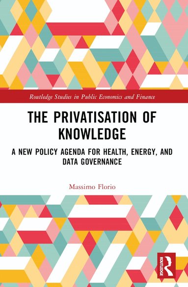 Massimo Florio - Privatisation of Knowledge, Häftad