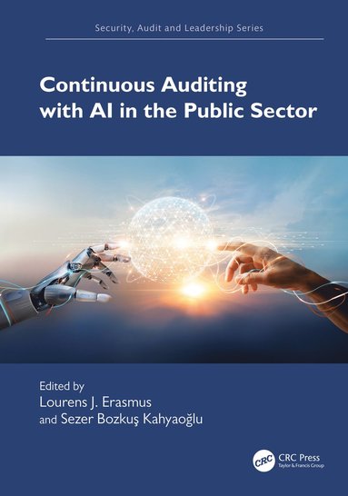 bokomslag Continuous Auditing with AI in the Public Sector