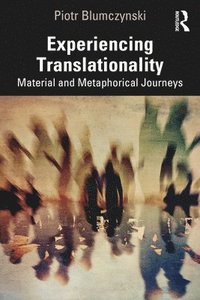 bokomslag Experiencing Translationality