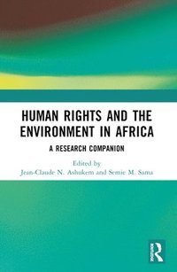 bokomslag Human Rights and the Environment in Africa