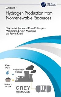 bokomslag Hydrogen Production from Nonrenewable Resources