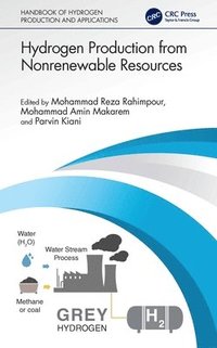 bokomslag Hydrogen Production from Nonrenewable Resources