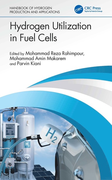 bokomslag Hydrogen Utilization in Fuel Cells