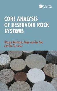 bokomslag Core Analysis of Reservoir Rock Systems