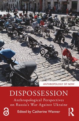 bokomslag Dispossession