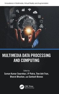 bokomslag Multimedia Data Processing and Computing