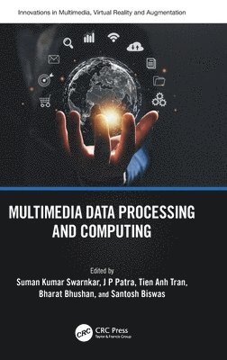 Multimedia Data Processing and Computing 1