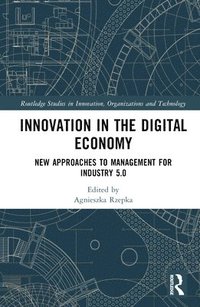 bokomslag Innovation in the Digital Economy