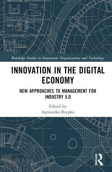 Agnieszka Rzepka - Innovation in the Digital Economy, Inbunden