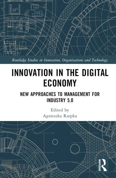 bokomslag Innovation in the Digital Economy