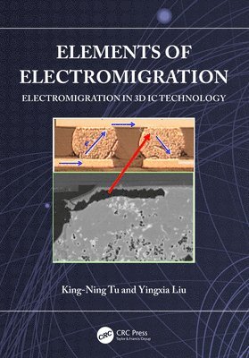 bokomslag Elements of Electromigration