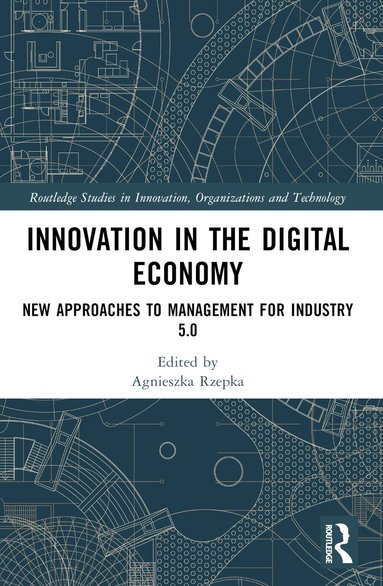 Agnieszka Rzepka - Innovation in the Digital Economy, Häftad