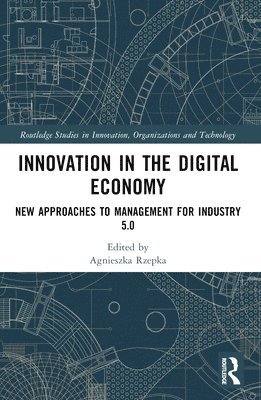 Innovation in the Digital Economy 1