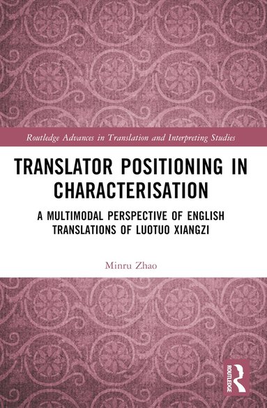 bokomslag Translator Positioning in Characterisation