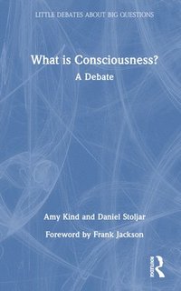 bokomslag What is Consciousness?