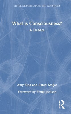 bokomslag What is Consciousness?