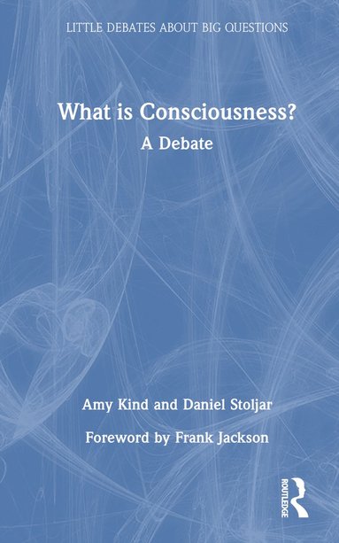 bokomslag What is Consciousness?