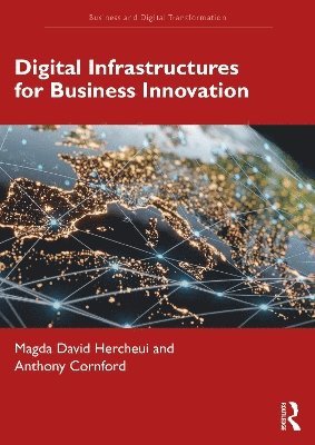 Magda David Hercheui, Tony Cornford - Digital Infrastructures for Business Innovation, Häftad