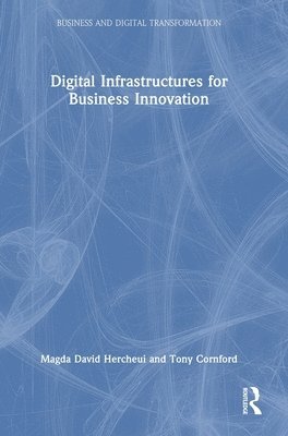 Digital Infrastructures for Business Innovation 1