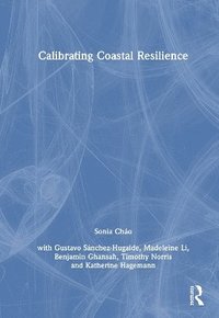 bokomslag Calibrating Coastal Resilience