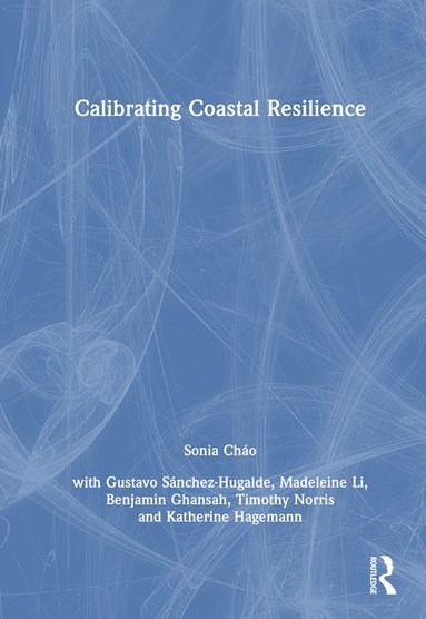 bokomslag Calibrating Coastal Resilience