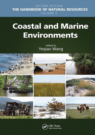 Yeqiao Wang - Coastal and Marine Environments, Häftad