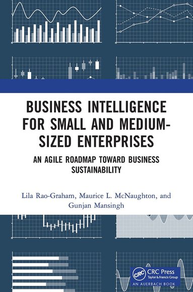 Lila Rao-Graham, Maurice L. McNaughton, Gunjan Mansingh - Business Intelligence for Small and Medium-Sized Enterprises, Häftad