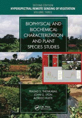 bokomslag Biophysical and Biochemical Characterization and Plant Species Studies