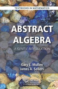 bokomslag Abstract Algebra