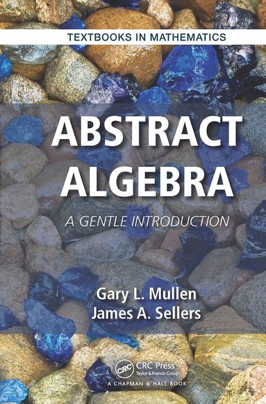 Gary L. Mullen, James A. Sellers - Abstract Algebra, Häftad