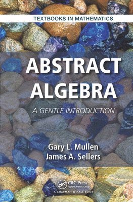 bokomslag Abstract Algebra