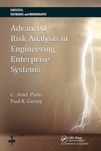 bokomslag Advanced Risk Analysis in Engineering Enterprise Systems