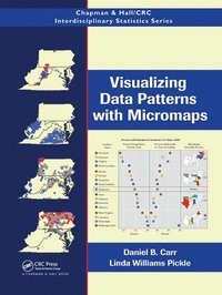 bokomslag Visualizing Data Patterns with Micromaps
