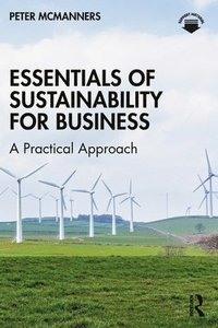 bokomslag Essentials of Sustainability for Business