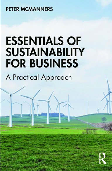 bokomslag Essentials of Sustainability for Business