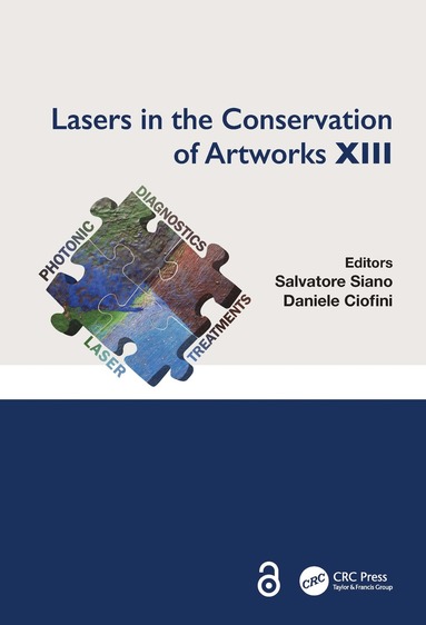 bokomslag Lasers in the Conservation of Artworks XIII