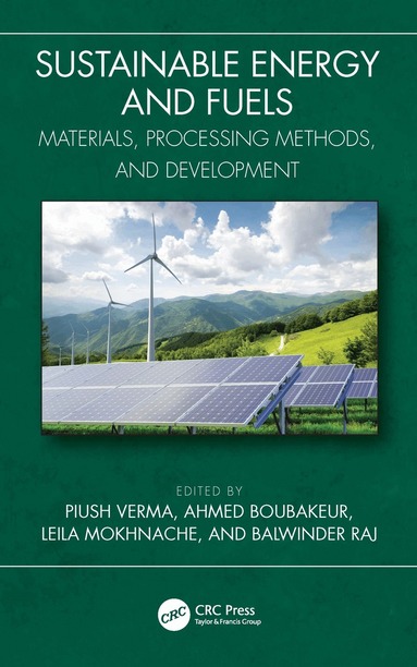 Piush Verma, Ahmed Boubakeur, Leila Mokhnache, Balwinder Raj - Sustainable Energy and Fuels, Inbunden