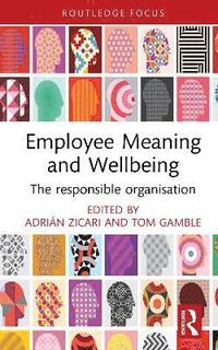 bokomslag Employee Meaning and Wellbeing