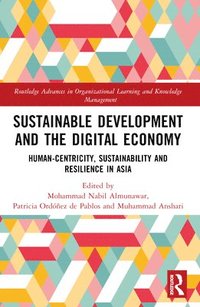bokomslag Sustainable Development and the Digital Economy