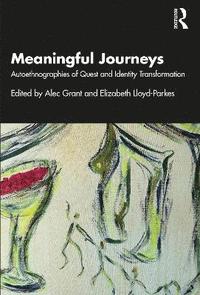 bokomslag Meaningful Journeys