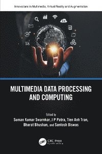 bokomslag Multimedia Data Processing and Computing