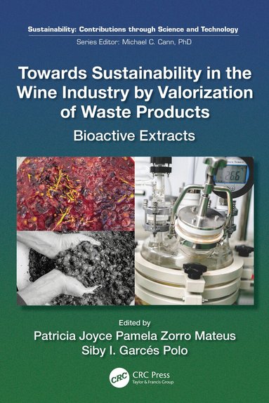Patricia Joyce Pamela Zorro Mateus, Siby Inés Garcés Polo - Towards Sustainability in the Wine Industry by Valorization of Waste Products, Häftad