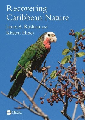 bokomslag Recovering Caribbean Nature