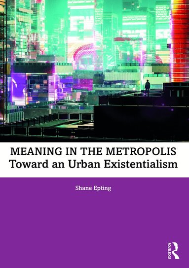 Shane Epting - Meaning in the Metropolis, Häftad