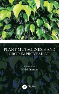 bokomslag Plant Mutagenesis and Crop Improvement
